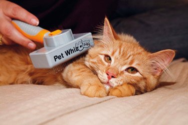 brosse auto-nettoyante chien et chats "Pet Whiz"