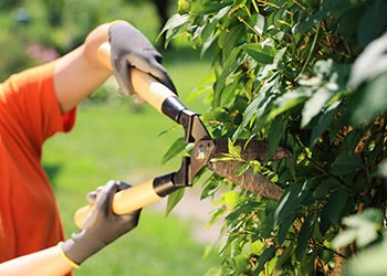 Préparez votre jardin à l’arrivée du printemps