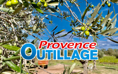 Guide pratique pour choisir le meilleur filet à olives