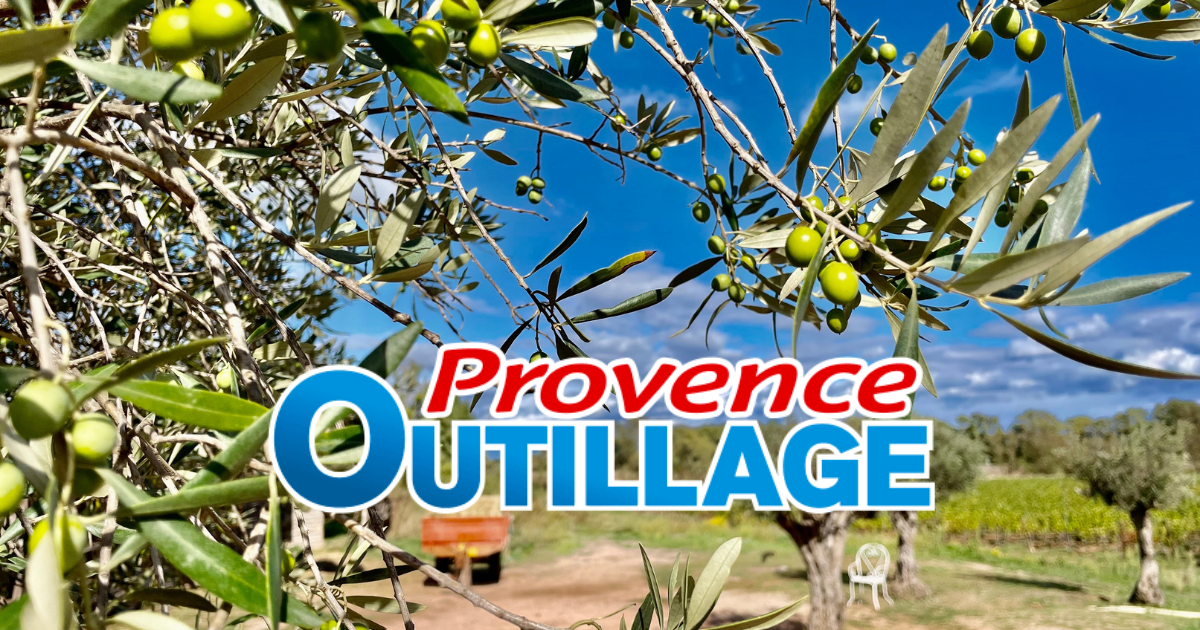 guide filet olive Cette image capture l'essence de la récolte d'olives avec Provence Outillage.