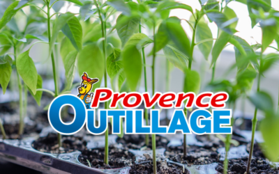 Comment réussir ses semis ? Le guide complet pour un potager réussi