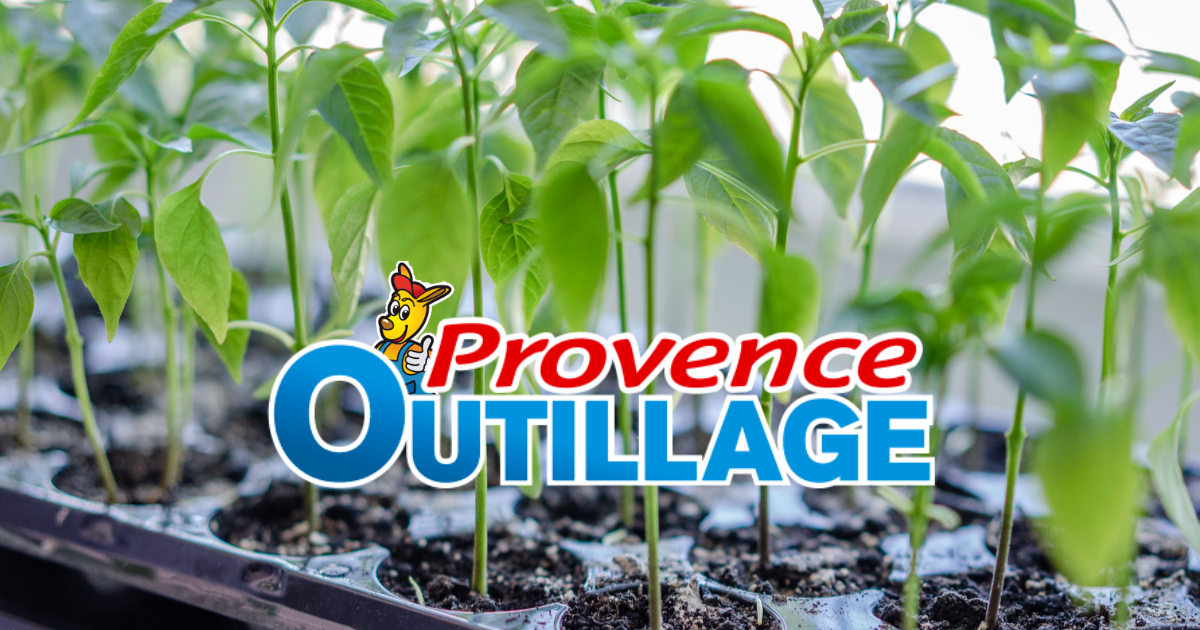 Jeunes semis en godets avec plants en croissance et logo Provence Outillage