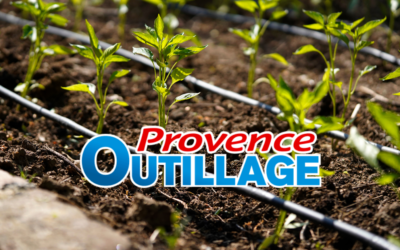 Réussir ses plantations : pourquoi le goutte-à-goutte est indispensable